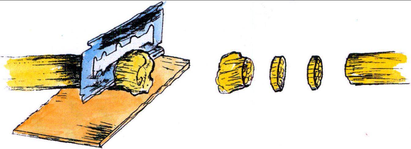 第六節(jié) 神經(jīng)端側(cè)吻合術(shù)